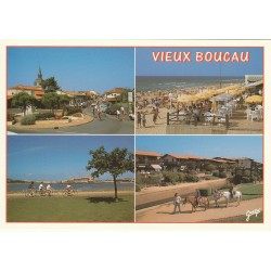 2 Photo Cpsm grand format 40 LES LANDES. Vieux Boucau et Moulin de Galoppe