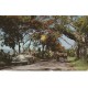 Photo Cpsm PUERTO RICO 1957