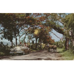 Photo Cpsm PUERTO RICO 1957