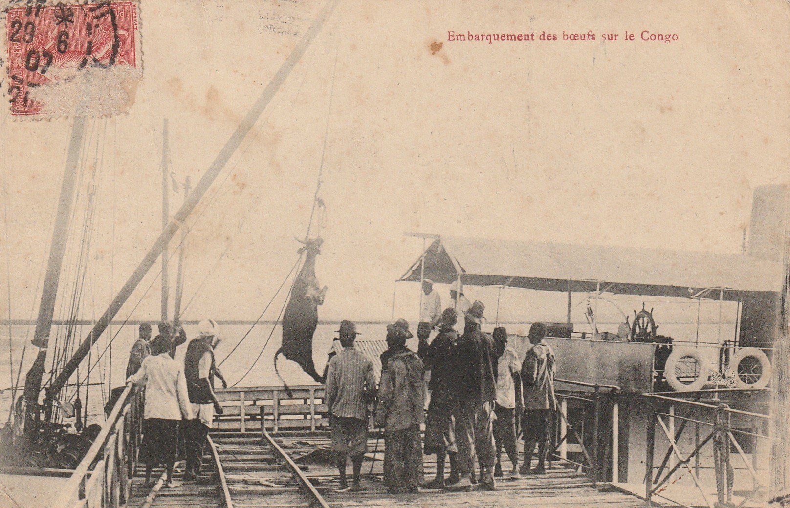 Embarquement des boeufs sur le Congo 1907