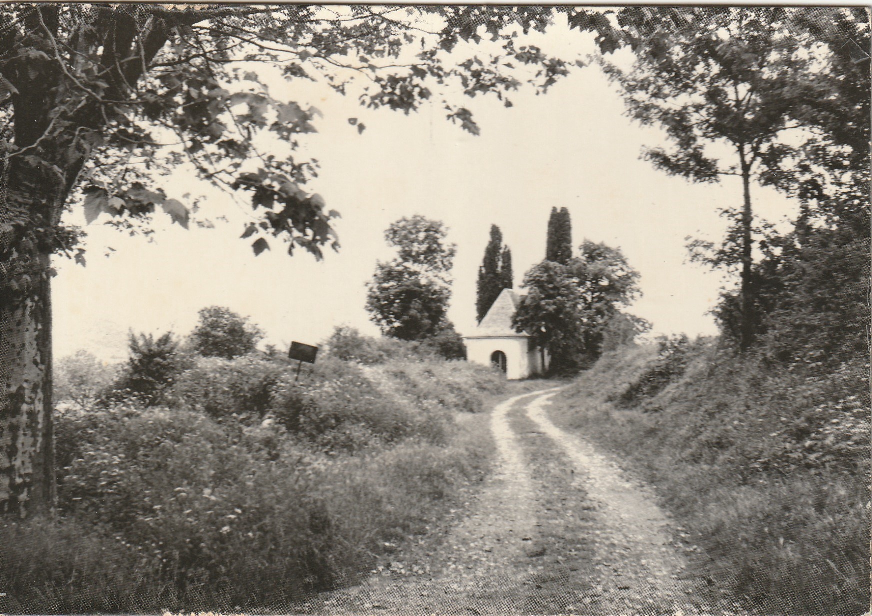 Photo cpsm grand format 11 NEBIAS. La Chapelle Sainte-Claire