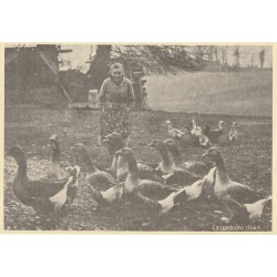 Cpsm grand format 32 GIMONT. La Gardeuse d'Oie 1981. Aux Ducs de Gascogne