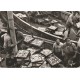Photo Cpsm grand format METIERS. Débarquement du Poisson par des Pêcheurs dans un Port de Pêche