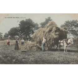 METIERS A LA CAMPAGNE. La rentrée des Foins avec attelage 1903