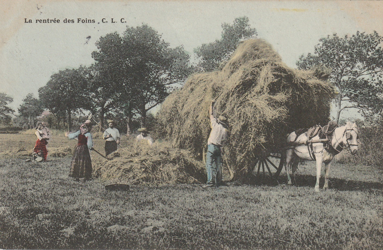 METIERS A LA CAMPAGNE. La rentrée des Foins avec attelage 1903