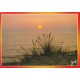 Lot 10 cpsm grand format 40 LANDES. Port Albert, Huchet, Lous Cadetouns, Surf, Vieux-Boucau, Moliets