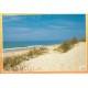 Lot 10 cpsm grand format 40 LANDES. Port Albert, Huchet, Lous Cadetouns, Surf, Vieux-Boucau, Moliets