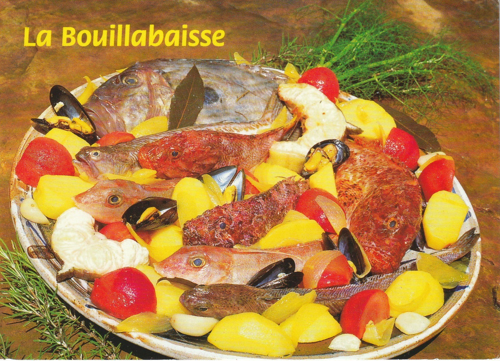 Photo cpsm grand format Recette de cuisine " LA BOUILLABAISSE " 2000