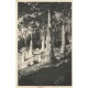 Lot 10 cpa LES GROTTES DE LACAVE 46. Lacs reflets Mirages, Trois Parques, Tarasque, Cierge...