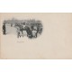SPORTS HIPPISME. Le Cheval gagnant d'une Course pour Tiercé vers 1900