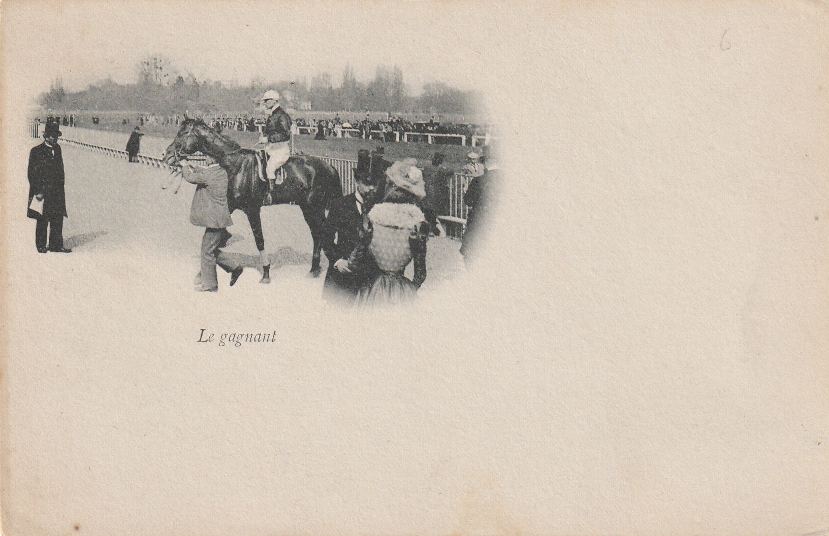 SPORTS HIPPISME. Le Cheval gagnant d'une Course pour Tiercé vers 1900