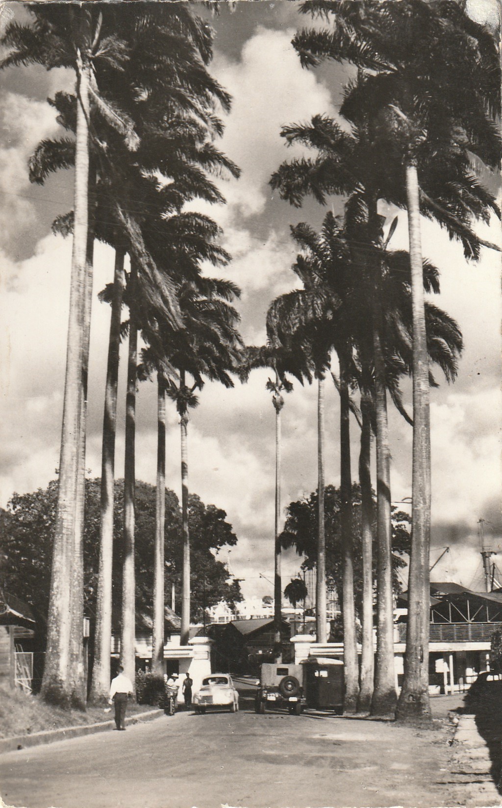 Photo Cpsm Cpm MARTINIQUE. Fort de France. Entrée Compagnie Générale Transatlantique