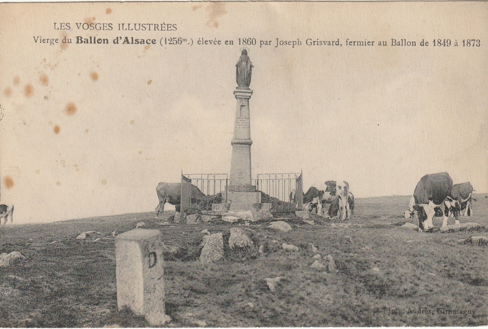 Lot 3 cpa 88 LE BALLON D'ALSACE. Vierge et vaches, Vallées Moselle et Charbonniers
