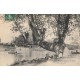 94 CRETEIL. Personnages sur Arbre penché 1908 et Canoteurs