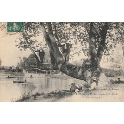 94 CRETEIL. Personnages sur Arbre penché 1908 et Canoteurs