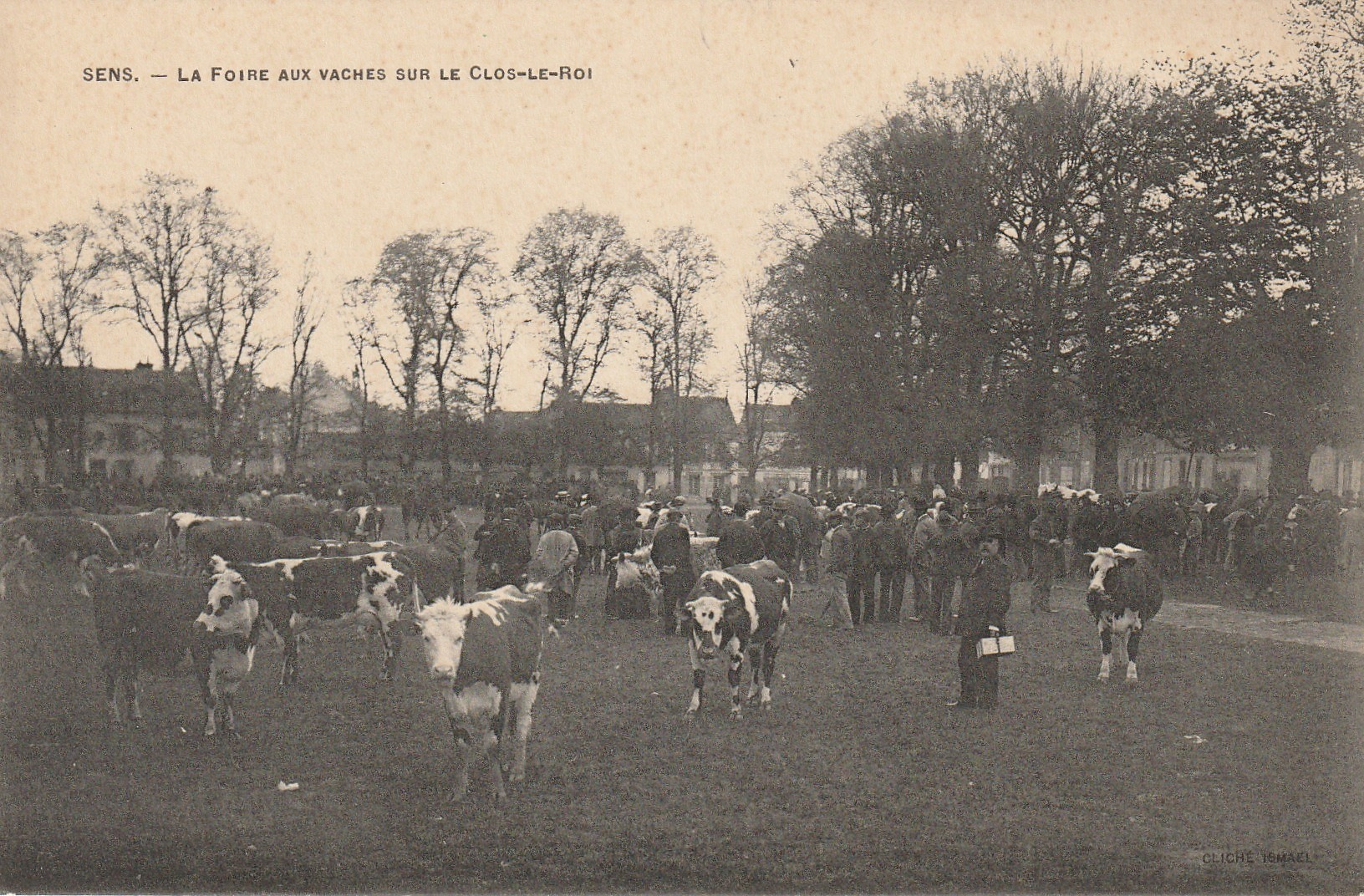 89 SENS. La Foire aux Vaches sur le Clos le Roi