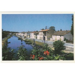 Photo cpsm grand format 79 COULON