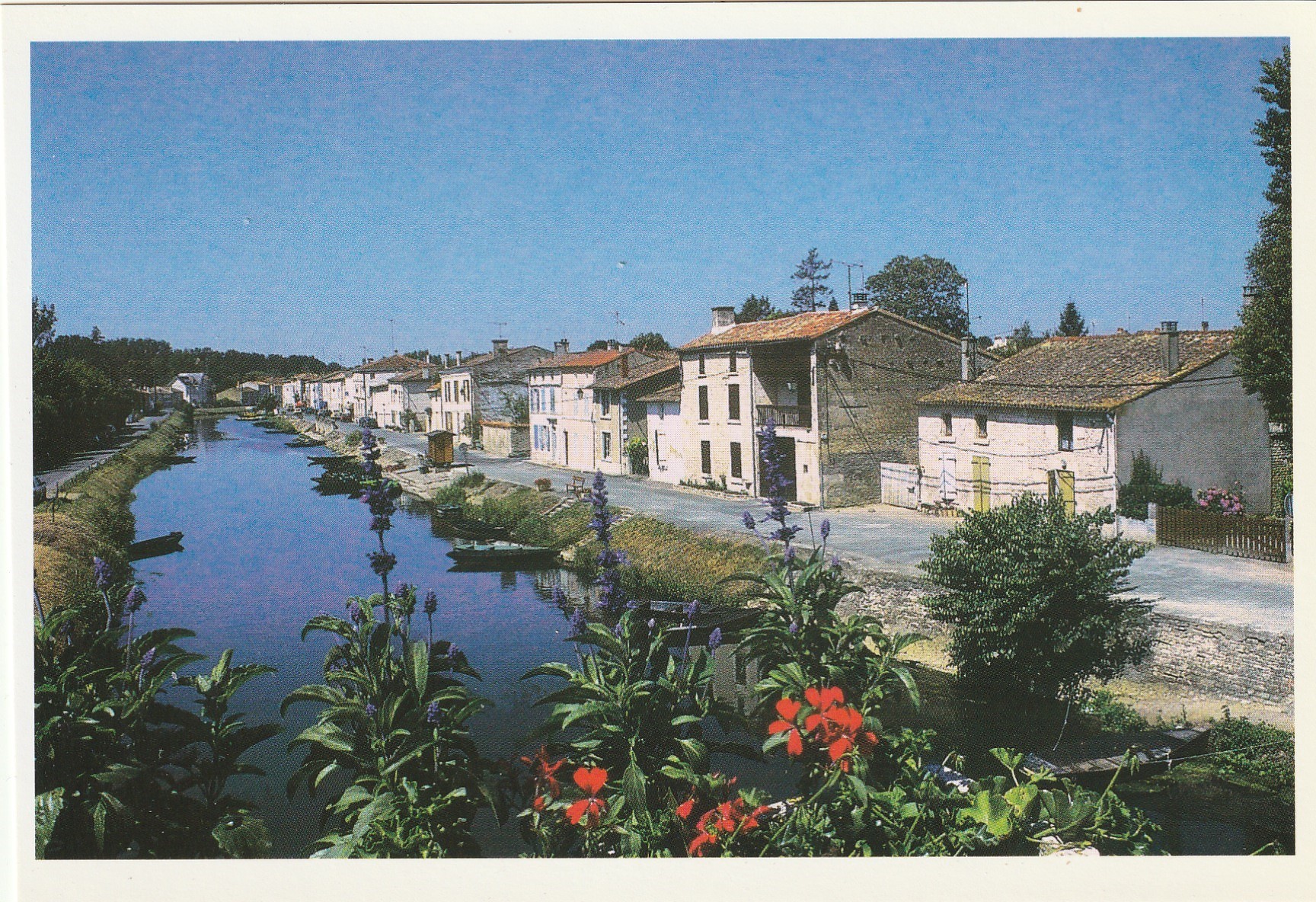 Photo cpsm grand format 79 COULON