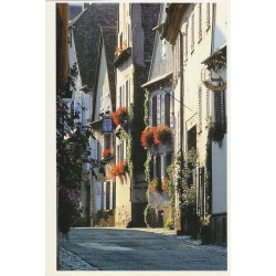 Photo cpsm grand format 67 MITTELBERGHEIM