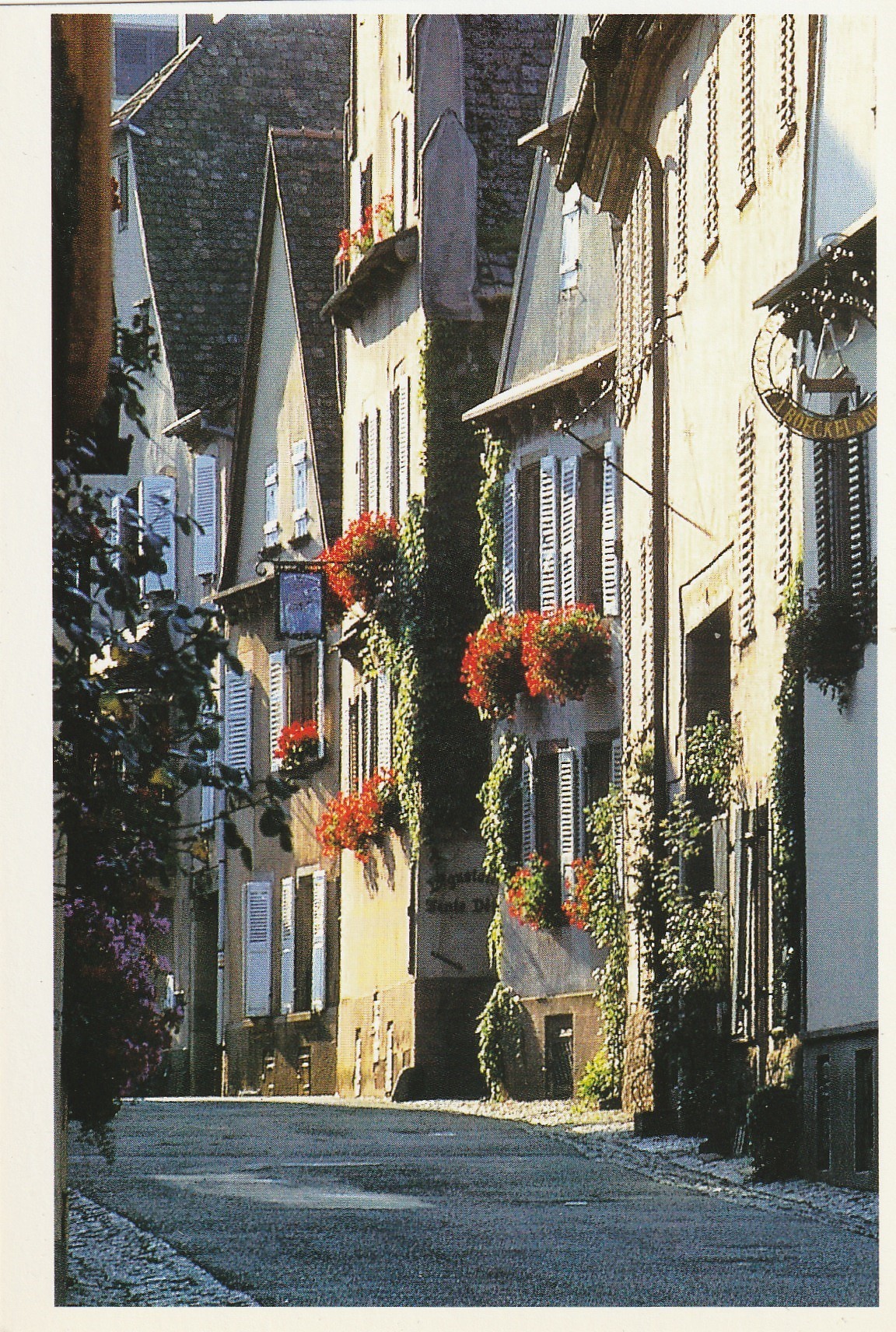 Photo cpsm grand format 67 MITTELBERGHEIM