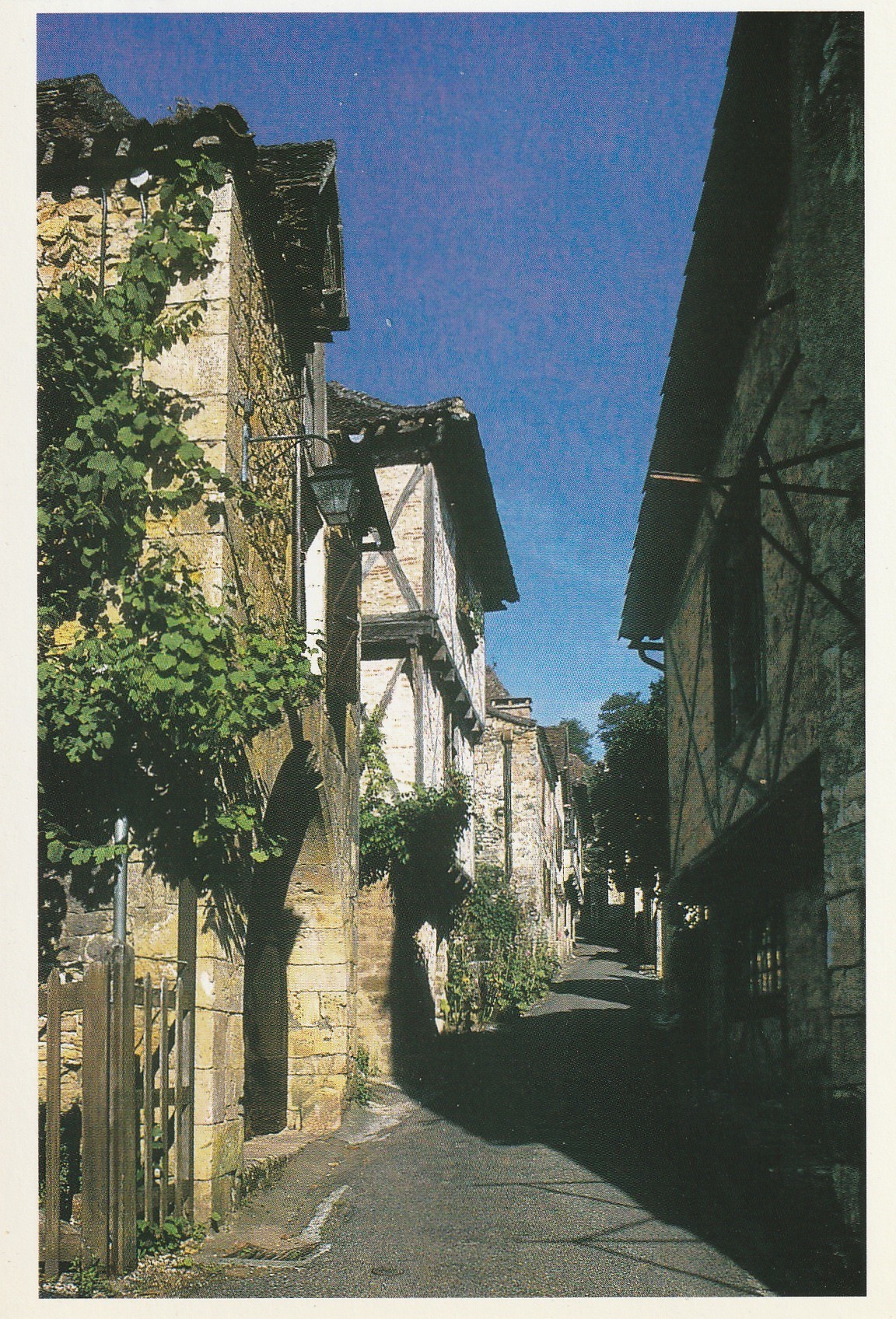 Photo cpsm grand format 46 SAINT-CIRQ-LAPOPIE