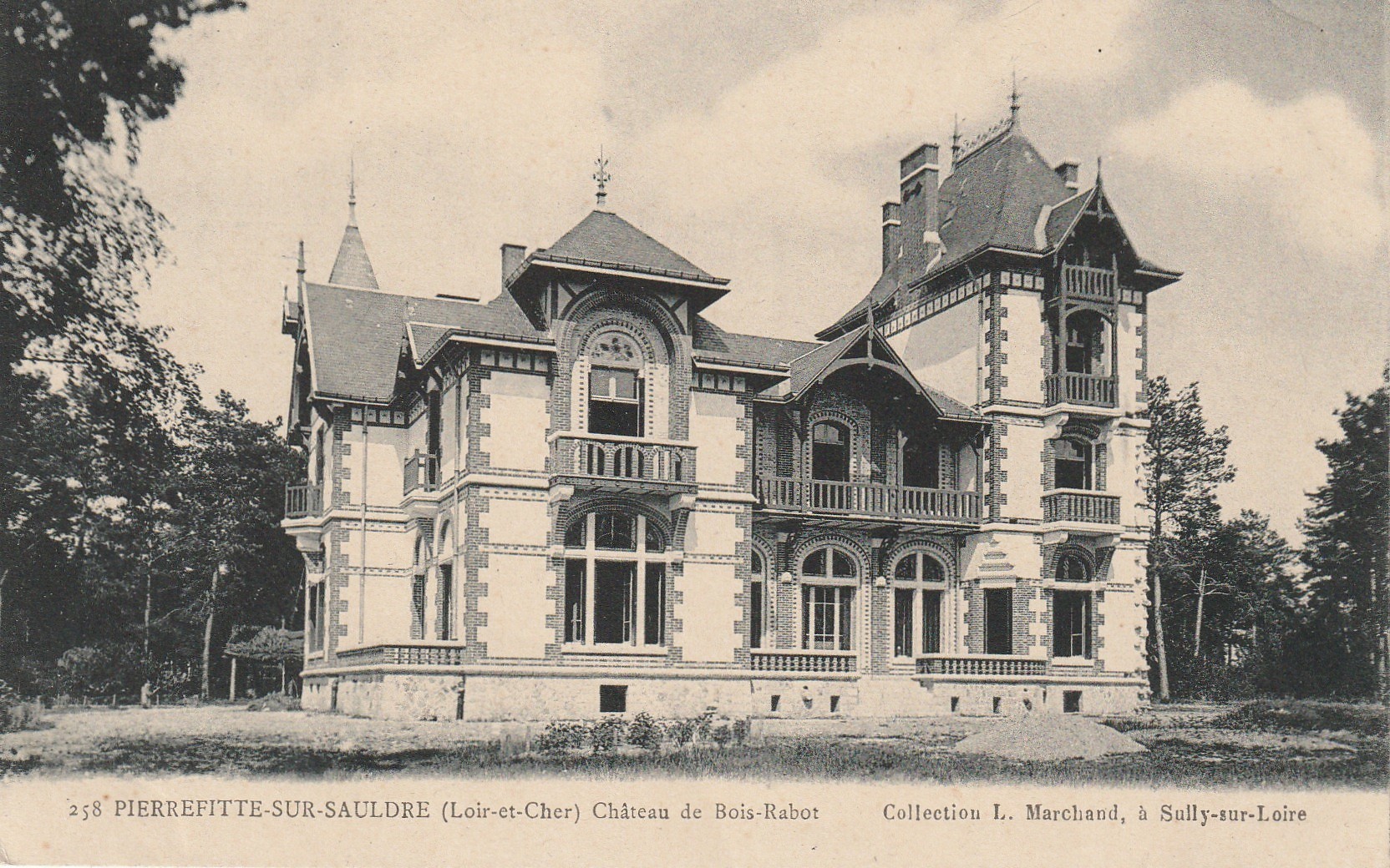 41 PIERREFITTE-SUR-SAULDRE. Château du Bois Rabot