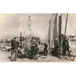85 LES SABLES-D'OLONNE. Débarquement du Thon et Pêcheurs