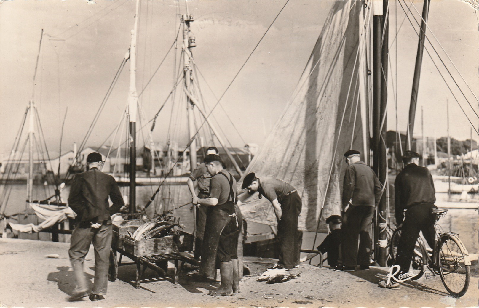 85 LES SABLES-D'OLONNE. Débarquement du Thon et Pêcheurs