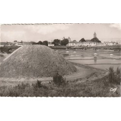 Photo cpsm petit format 85 ILE DE NOIRMOUTIER. Marais Salants