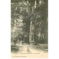 carte postale ancienne 77 FONTAINEBLEAU. Le Pharamond attelage âne