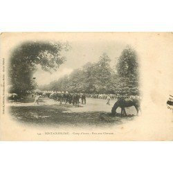 carte postale ancienne 77 FONTAINEBLEAU. Camp d'Avon 1906 Parc aux Chevaux. Militaires et Campement