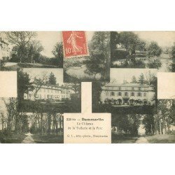 carte postale ancienne 77 DAMMARIE-LES-LYS. Château de Tuilerie et Parc 1919