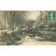 carte postale ancienne 77 DONNEMARIE-EN-MONTOIS. Vaches à l'Abreuvoir 1908