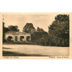 carte postale ancienne 77 CHAMPS-SUR-MARNE. Le Château Cyprès Orangerie
