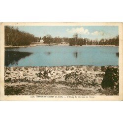 carte postale ancienne 77 CHAUMES-EN-BRIE. Etang du Château du Vivier 1939