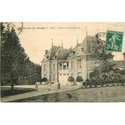 carte postale ancienne 77 CHATEAU DE CHAMPBRULE 1911 animation vers Nangis