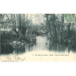 carte postale ancienne 77 ESBLY. Vue du Grand Morin 1907