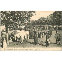 carte postale ancienne 03 MOULINS. Jour de Foire Cours de Bercy. Boeufs et Maquignons 113