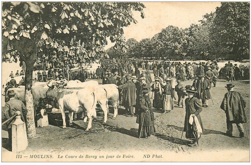 03 MOULINS. Jour de Foire Cours de Bercy. Boeufs et Maquignons 113