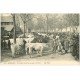 carte postale ancienne 03 MOULINS. Jour de Foire Cours de Bercy. Boeufs et Maquignons