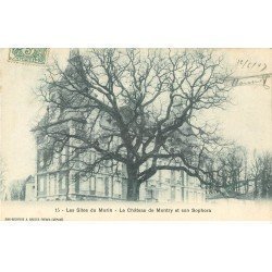 carte postale ancienne 77 LES SITES DU MORIN. Château de Montry et Sophora 1907