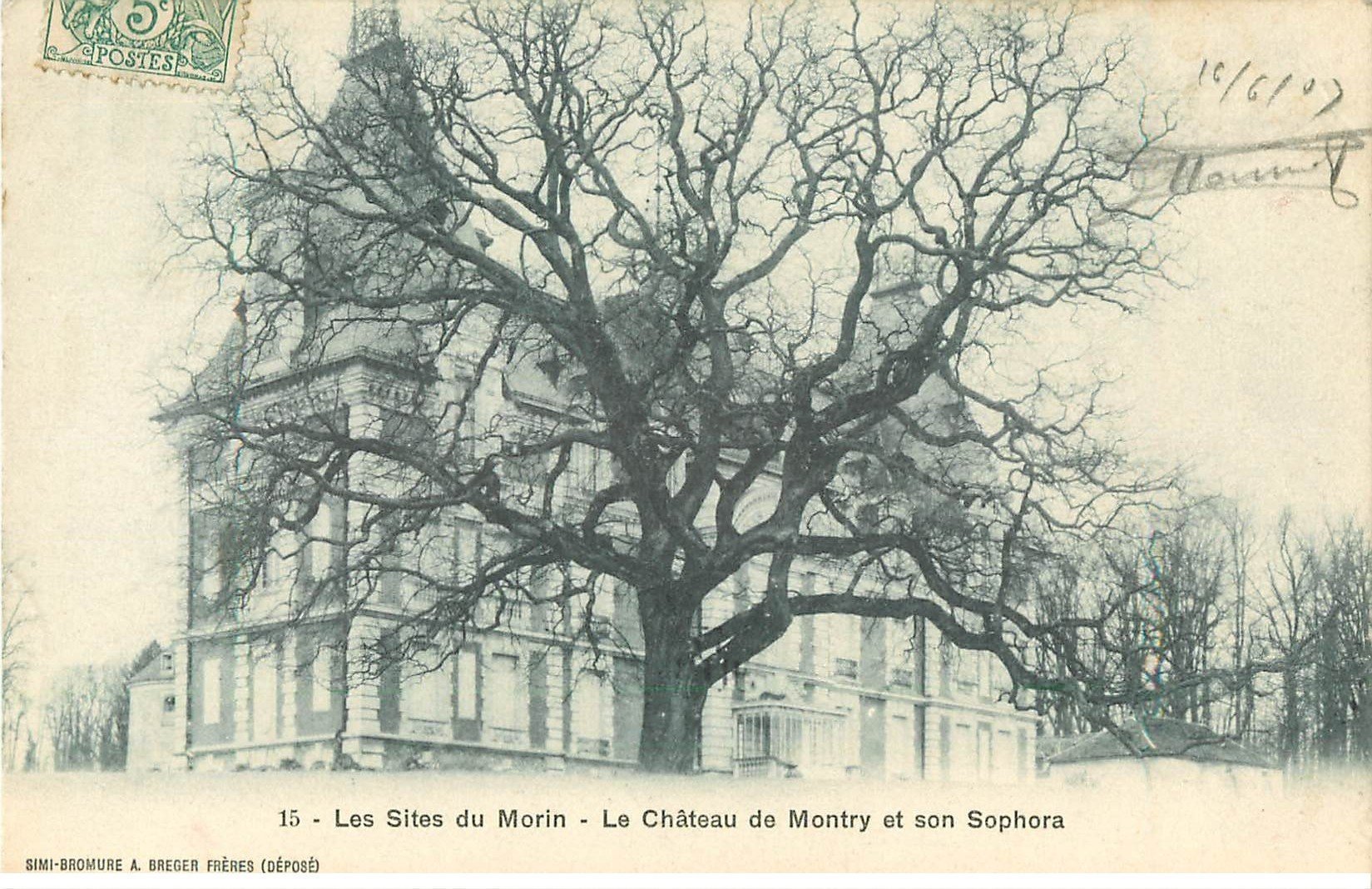carte postale ancienne 77 LES SITES DU MORIN. Château de Montry et Sophora 1907