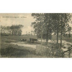 carte postale ancienne 77 MISY et VILLENEUVE. La Pâture avec Vaches 1913