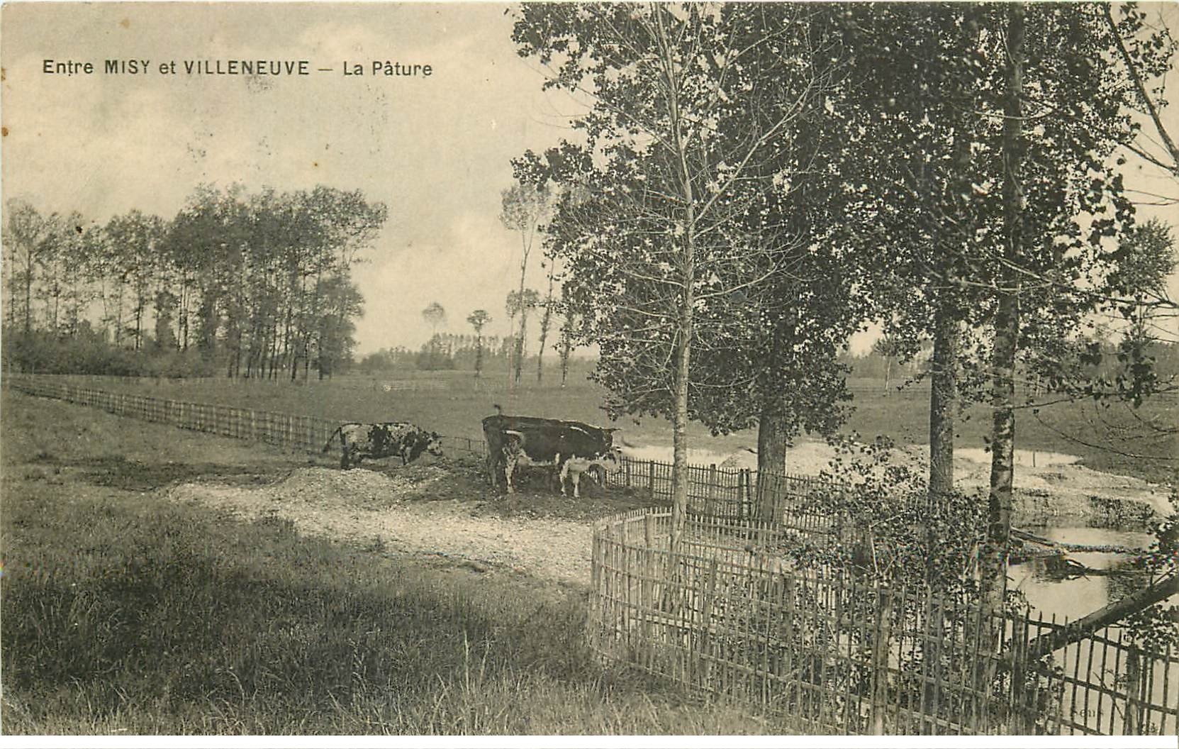 carte postale ancienne 77 MISY et VILLENEUVE. La Pâture avec Vaches 1913