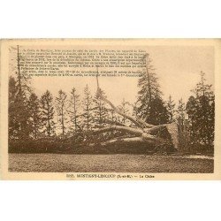 carte postale ancienne 77 MONTIGNY-LENCOUP. Le Cèdre