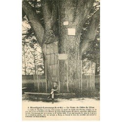 carte postale ancienne 77 MONTIGNY-LENCOUP. Tronc du Cèdre du Liban