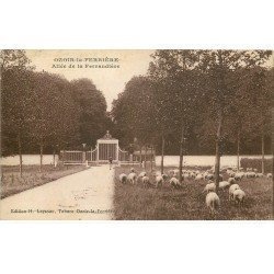 carte postale ancienne 77 OZOIR OZOUER-LA-FERRIERE. Pâtre et Moutons Allée de la Ferrandière