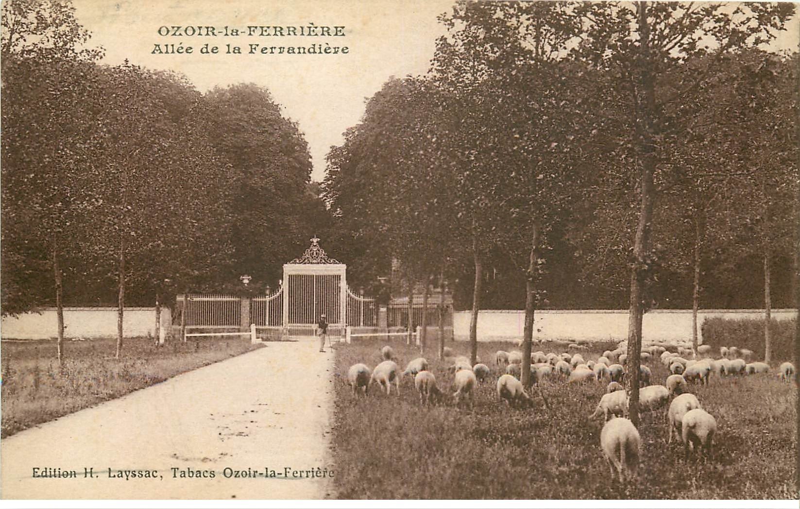 carte postale ancienne 77 OZOIR OZOUER-LA-FERRIERE. Pâtre et Moutons Allée de la Ferrandière