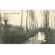 carte postale ancienne 77 SAINTS. Les Bords de l'Aubetin 1916