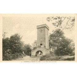 carte postale ancienne 77 SAMOIS-SUR-SEINE. Tour dans la Forêt animation